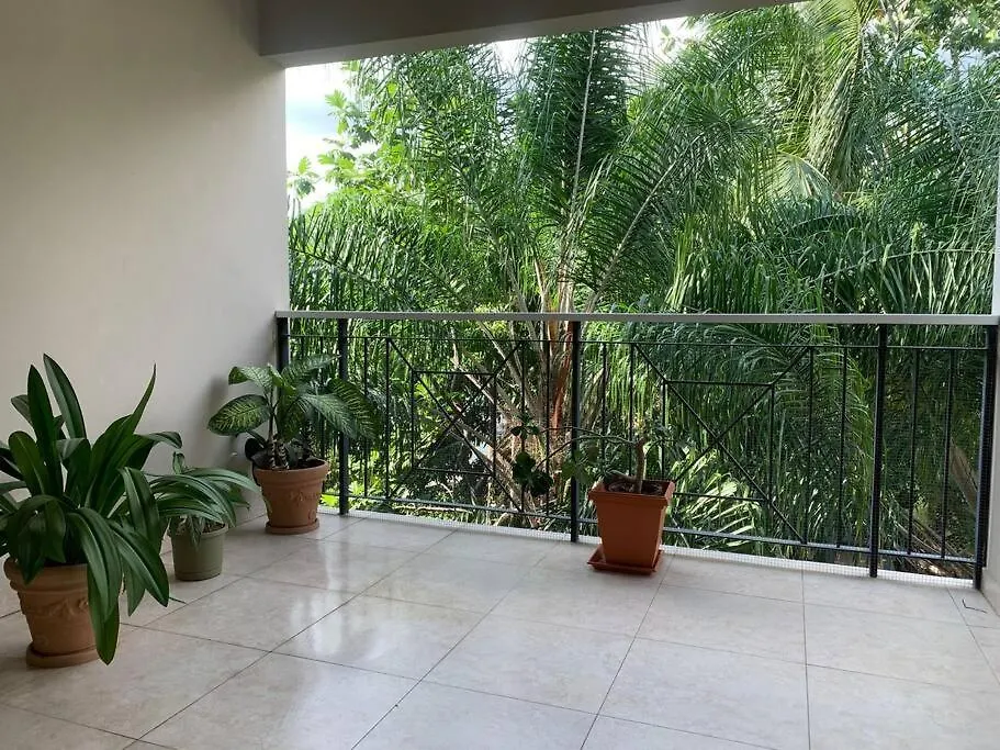 Amikae'S Apartment Kingston 0*,  Jamaica